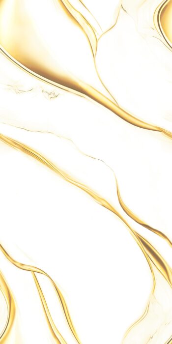 1134 | 2x4 ft | Golden Series Tiles