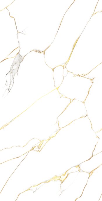1148 | 2x4 ft | Golden Series Tiles