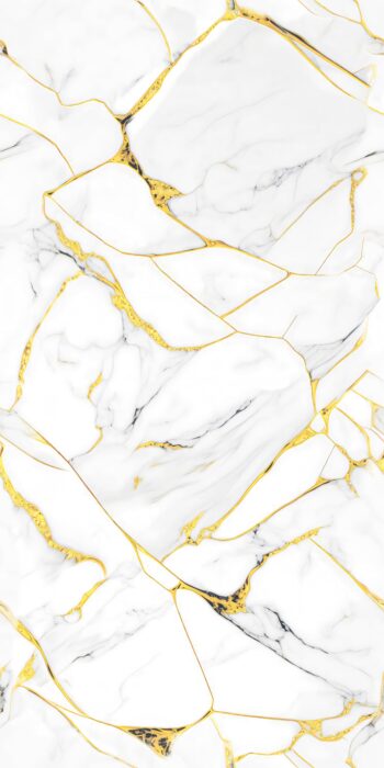 1167 | 2x4 ft | Golden Series Tiles