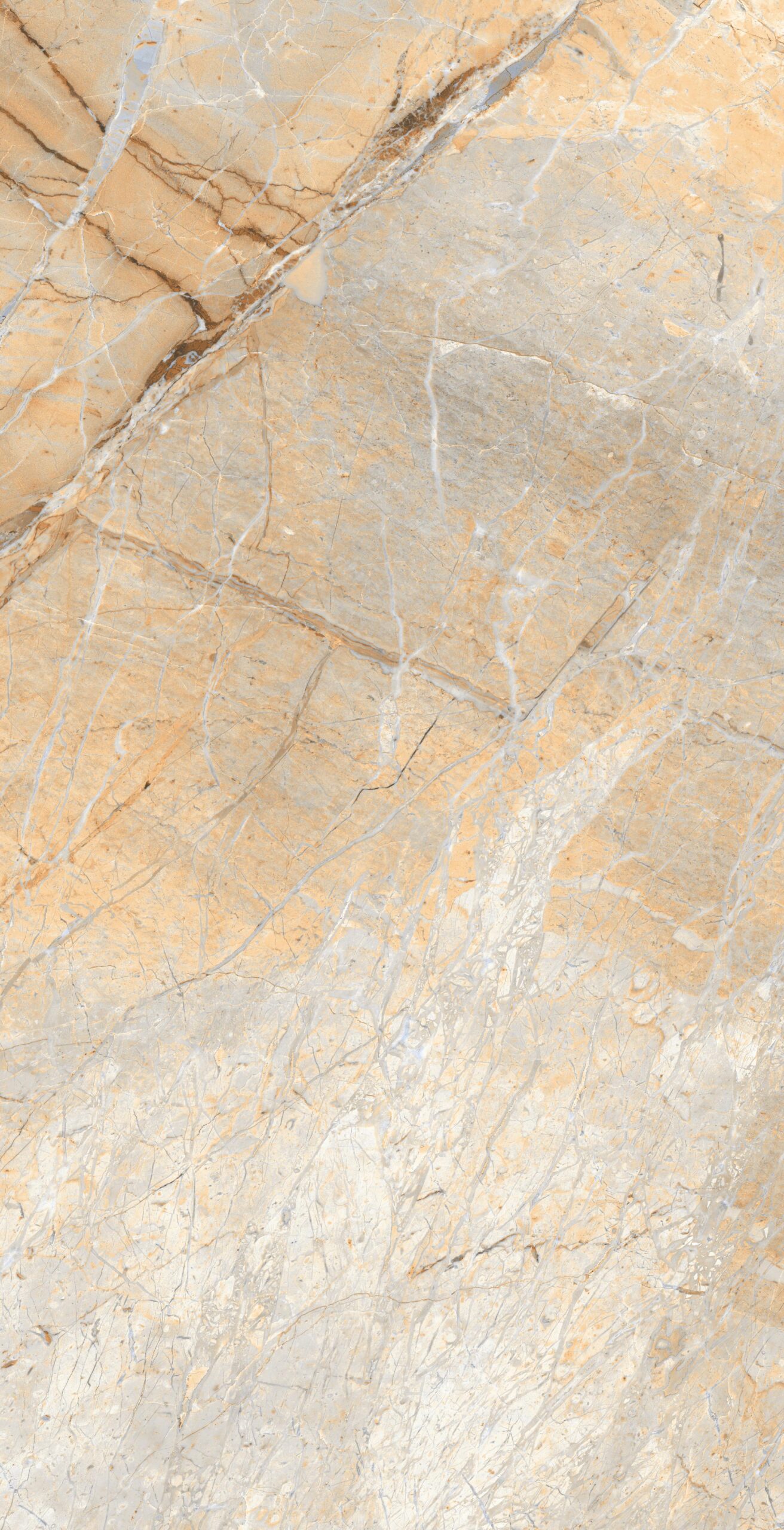AMIGO-NATURAL Amigo Natural | 600×1200 mm | Glossy Tiles