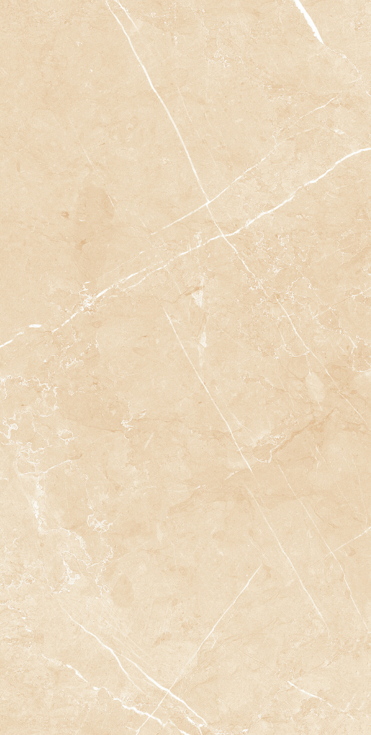ARMANI CLARO IVORY Armani Claro Ivory | 600×1200 mm | Glossy Finish Tiles