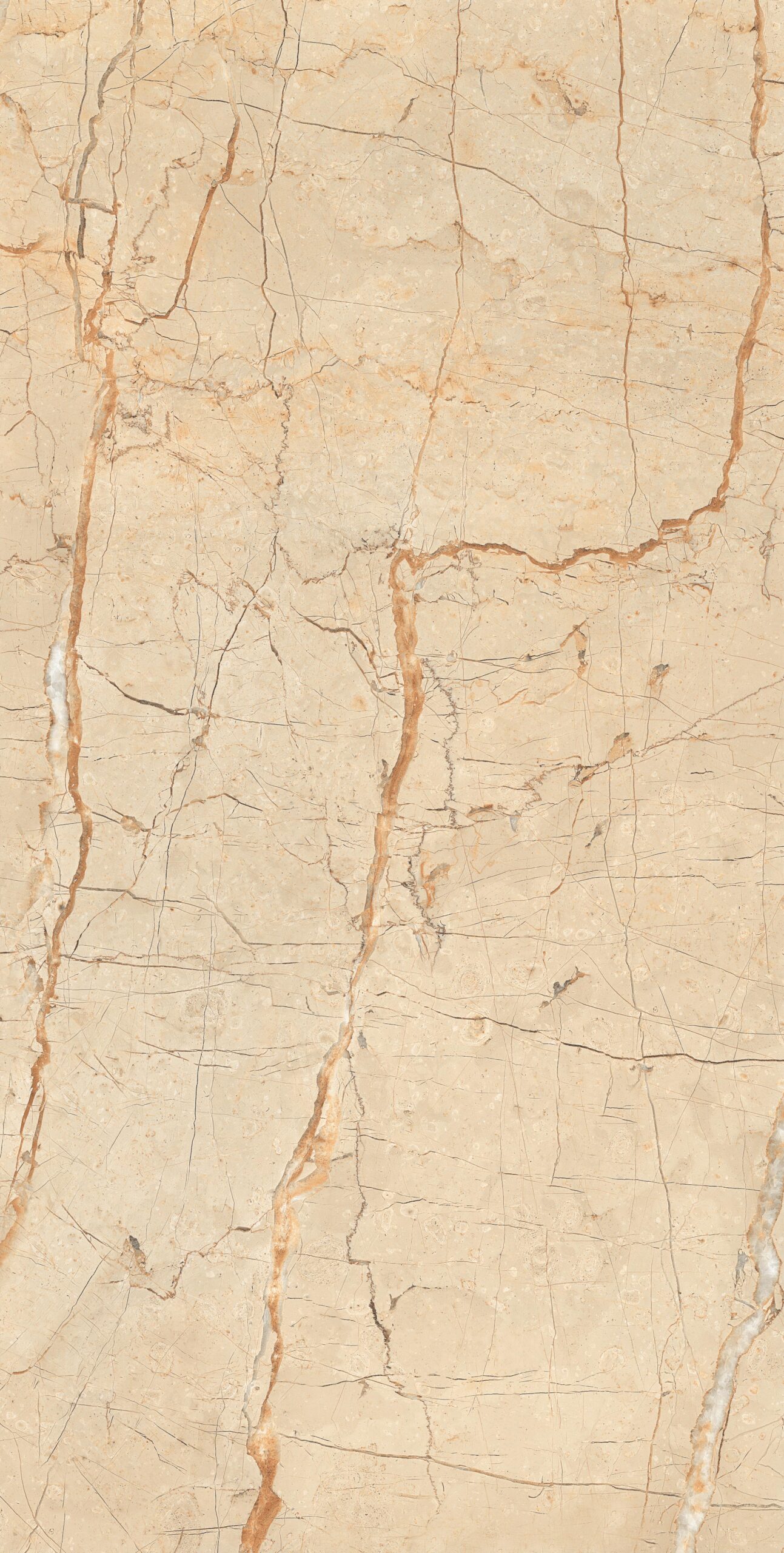 Alegre-BEIGE_1 Alegre Beige | 600×1200 mm | Glossy Tiles