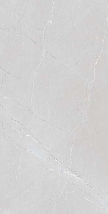 Atlanta Grey Light | 600×1200 mm | Glossy Finish Tiles