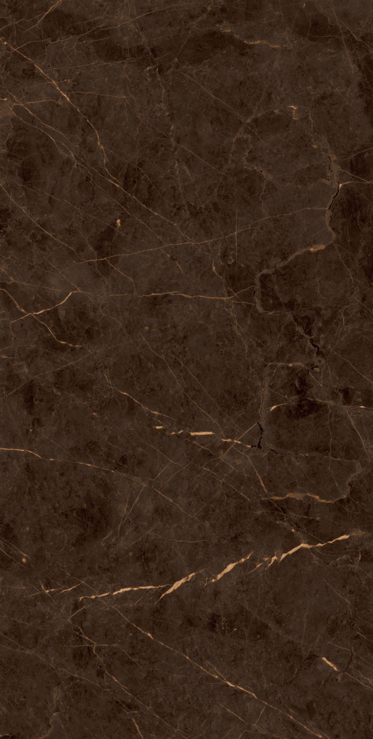 Avlon Brown Avlon Brown | 600x1200mm | Super High Glossy