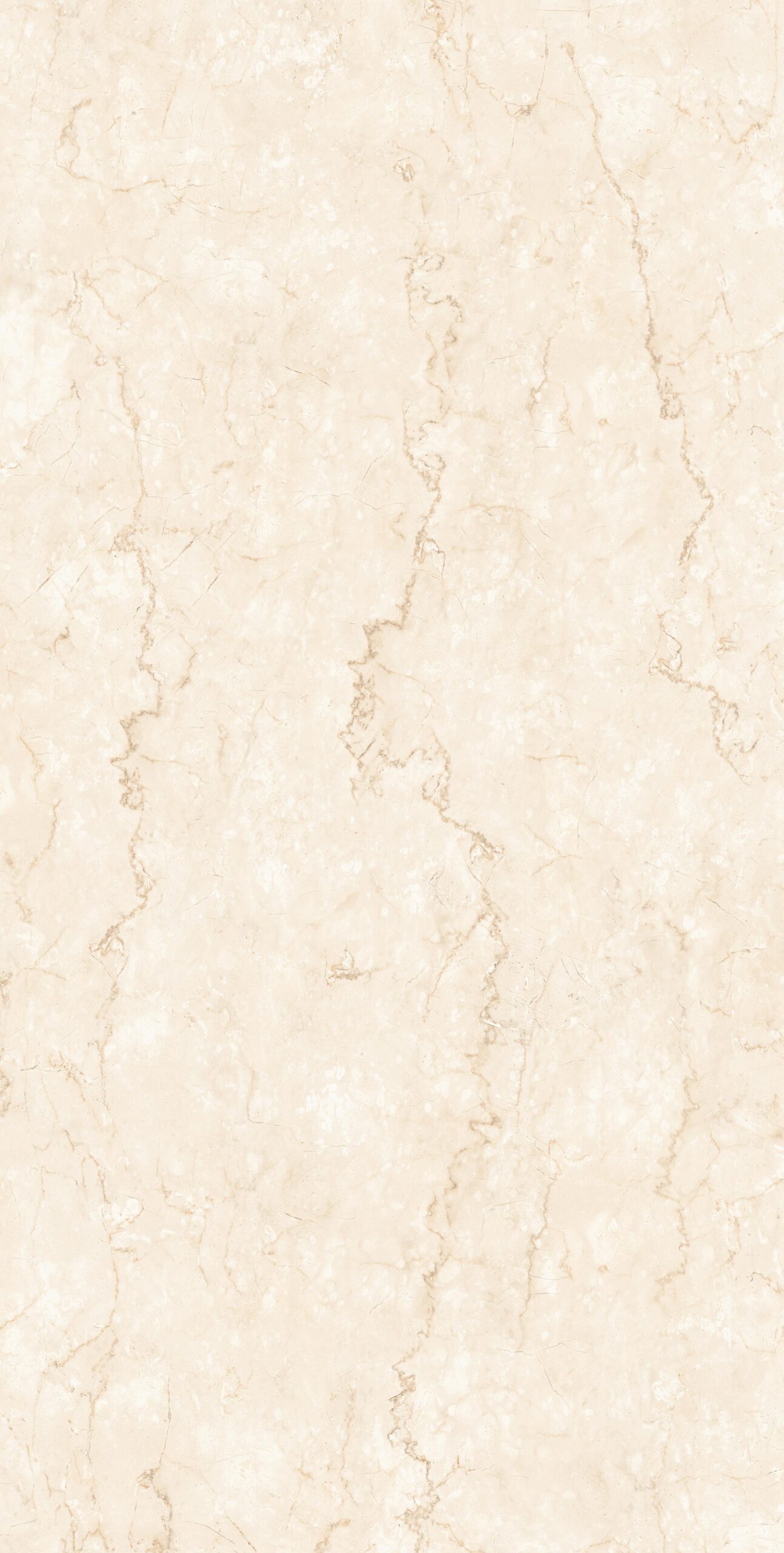 BOTTOCINO-CREMA_A Bottochino Crema | 600×1200 mm | Glossy Tiles