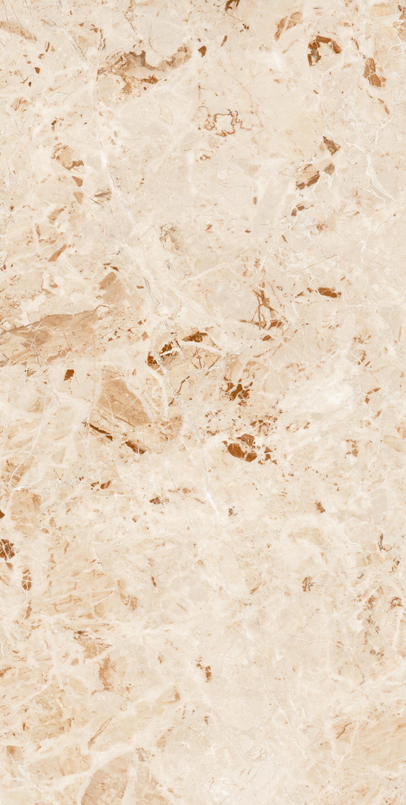 BRECIA-CREMA Brecia Crema | 600×1200 mm | Glossy Tiles