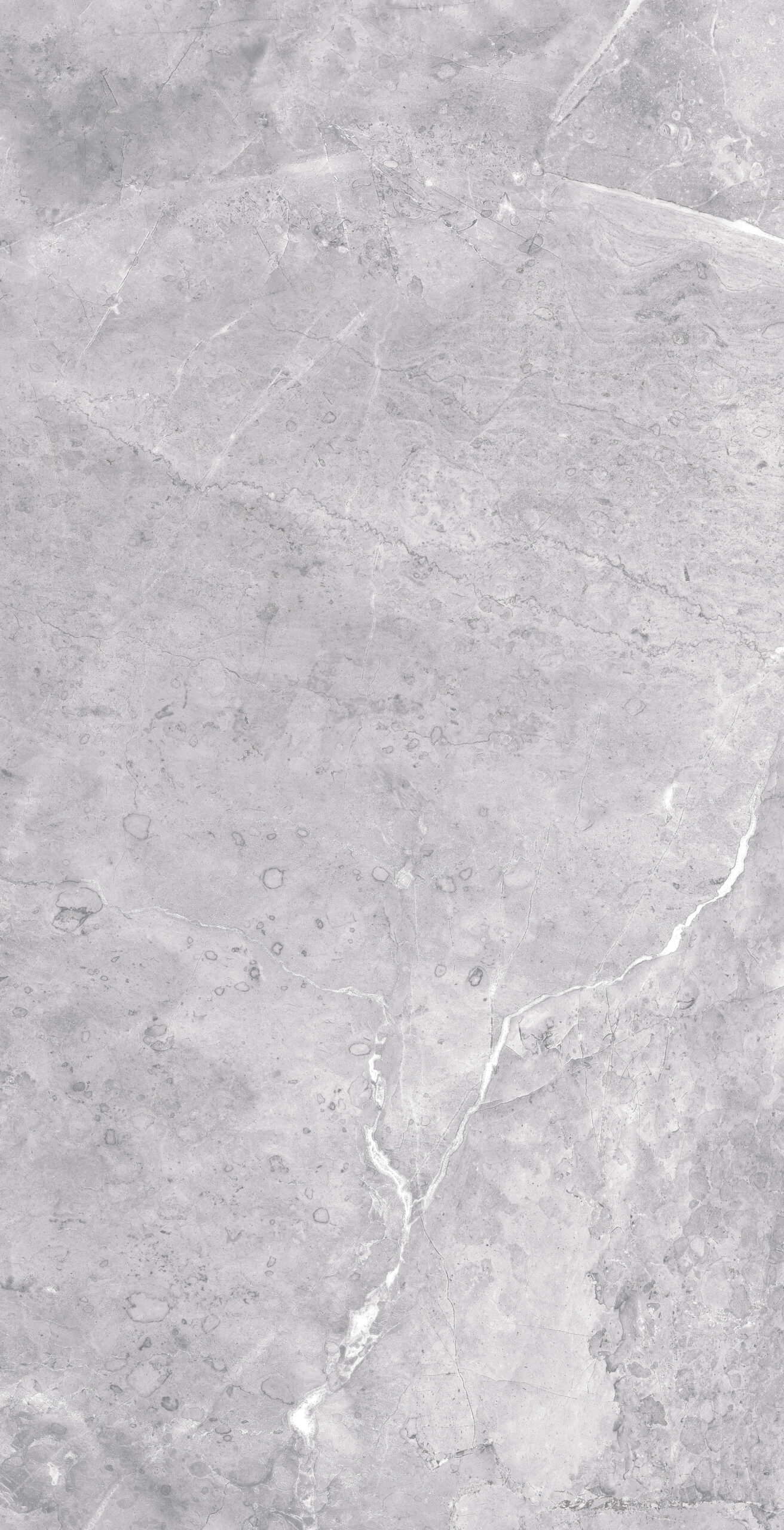 Borgogna Grey Borgogna Grey | 600×1200 mm | Glossy Finish Tiles