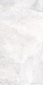 Borgogna Silver | 600×1200 mm | Glossy Finish Tiles