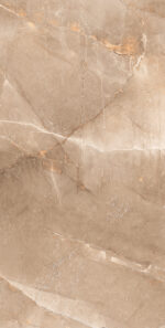 Boston Desert | 600×1200 mm | Glossy Finish Tiles