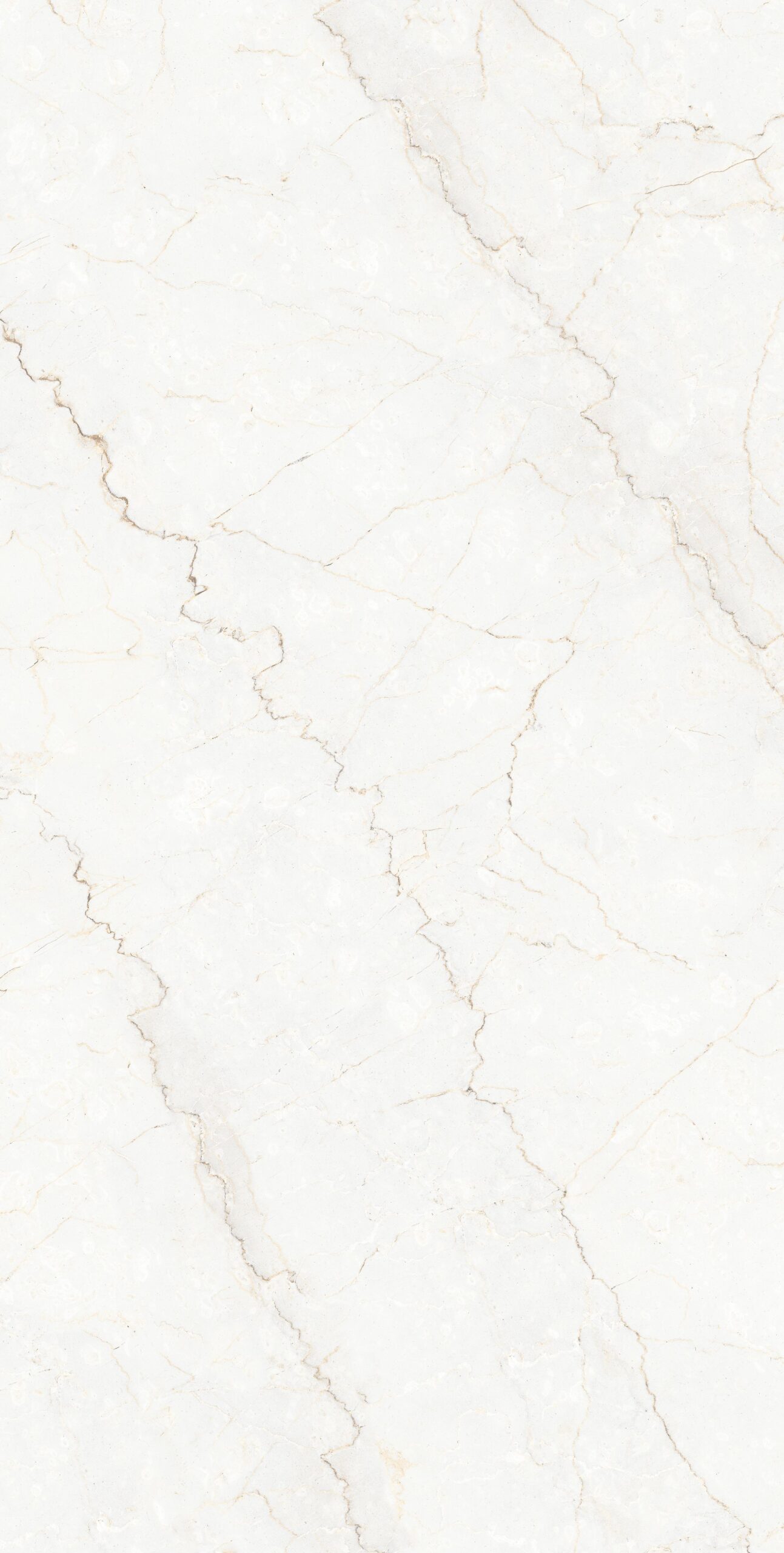 Bottochino-White Bottochino White | 600×1200 mm | Glossy Tiles