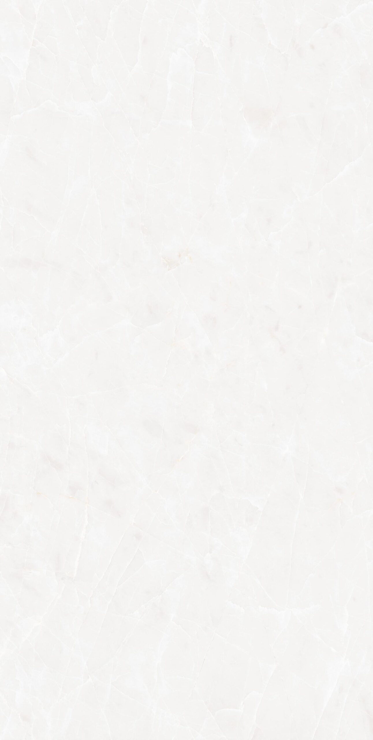 Bristol-white Bristol white | 600×1200 mm | Glossy Tiles