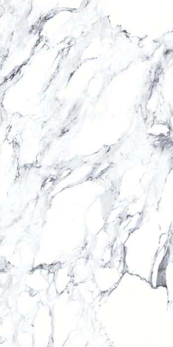 Carrara Black | 600×1200 mm | Glossy Tiles