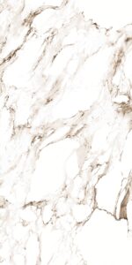 Carrara Gold | 600×1200 mm | Glossy Tiles