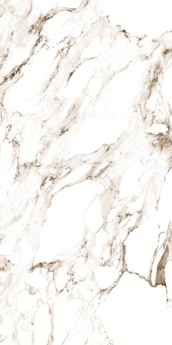 Carrara Gold | 600×1200 mm | Glossy Tiles