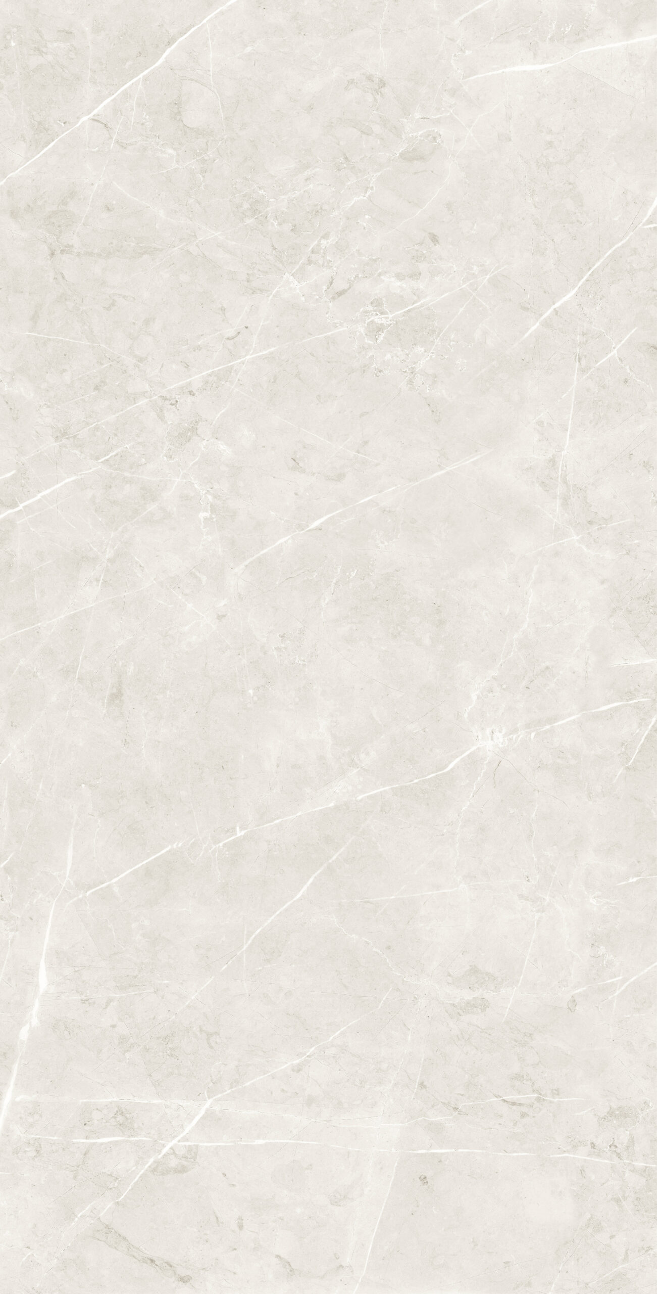 CARTUS BIANCO Cartus Bianco | 600×1200 mm | Glossy Finish Tiles