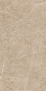 Cartus Brown | 600×1200 mm | Glossy Finish Tiles