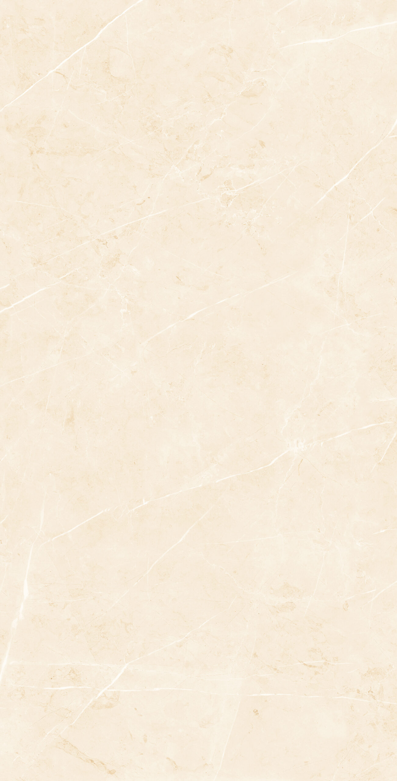 CARTUS CREMA Cartus Crema | 600×1200 mm | Glossy Finish Tiles