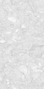 Casper Grey | 600×1200 mm | Glossy Tiles