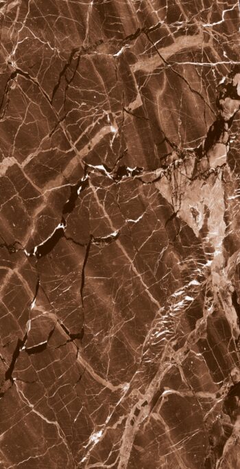 Forest Brown | 600x1200mm | Super High Glossy