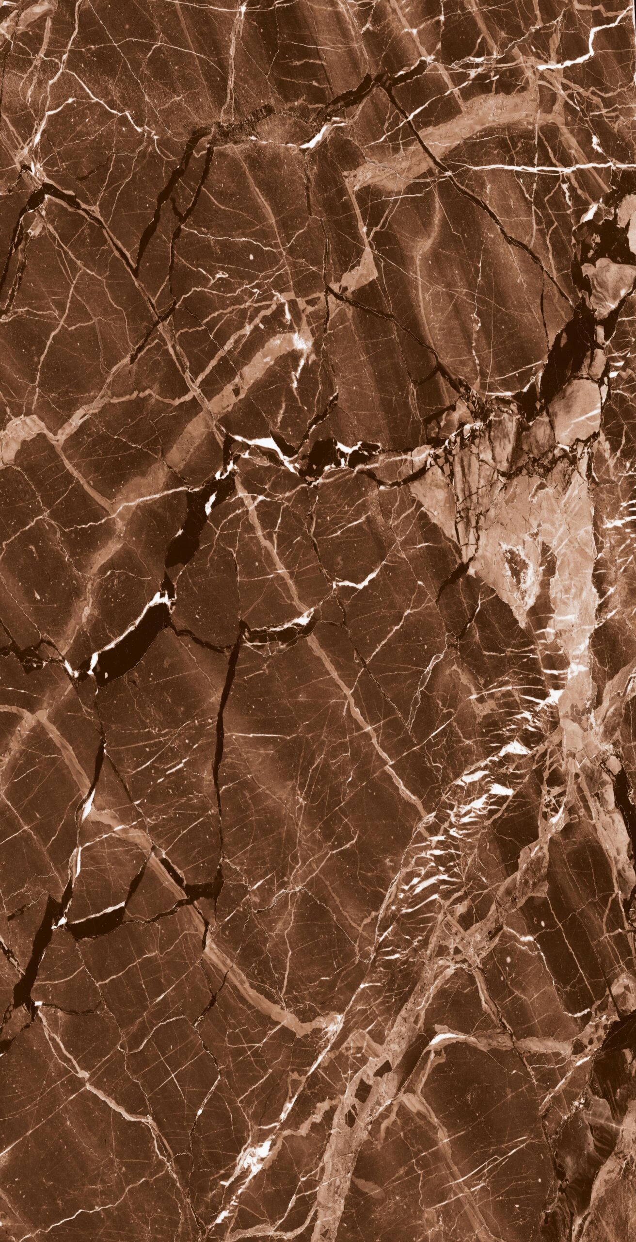 FOREST BROWN Forest Brown | 600x1200mm | Super High Glossy