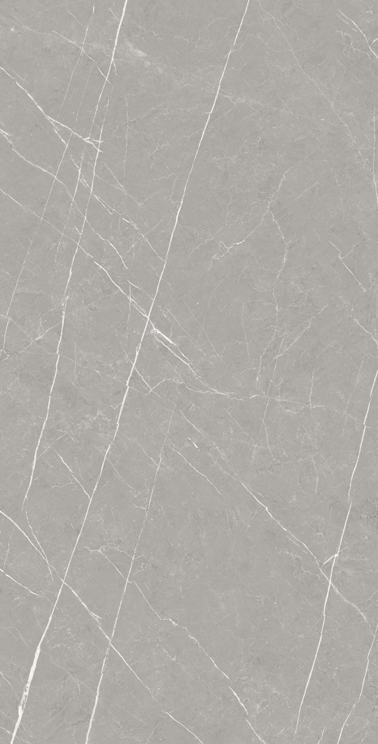 KINET GREY Kinet Grey | 600×1200 mm | Glossy Finish Tiles