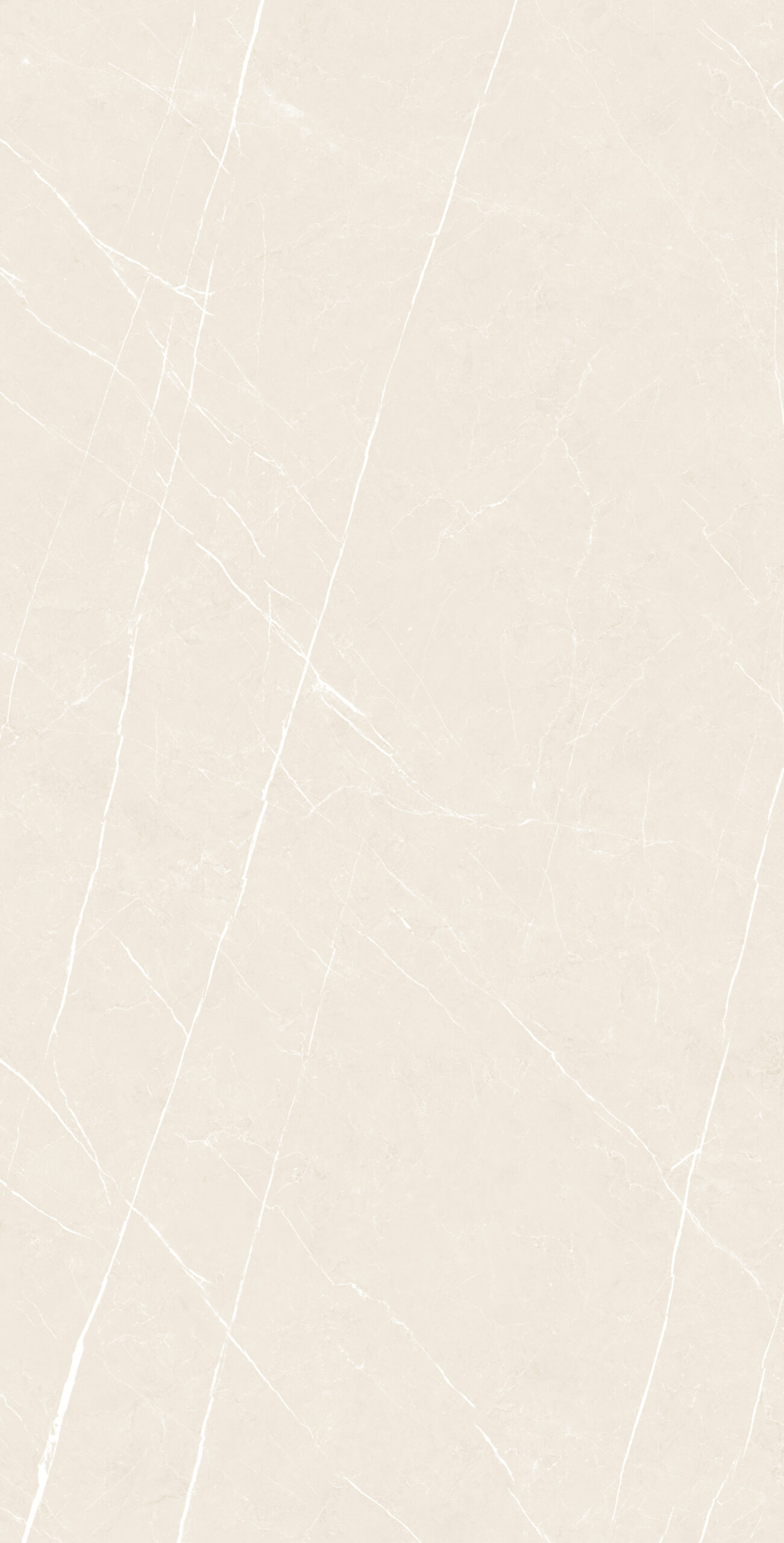 KINET IVORY Kinet Ivory | 600×1200 mm | Glossy Finish Tiles