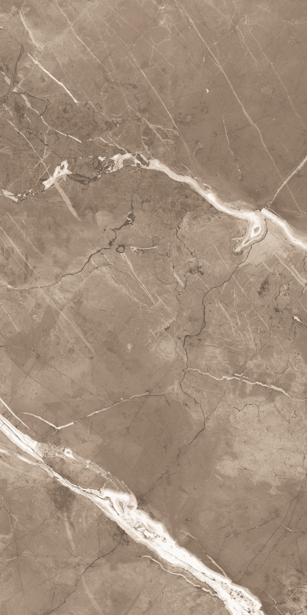 MEGA CARAME Mega Carame | 600×1200 mm | Glossy Finish Tiles