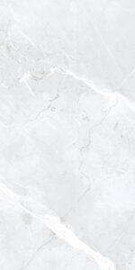 Mega Light Grey | 600×1200 mm | Glossy Finish Tiles