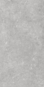 Panero Grey | 600×1200 mm | Glossy Finish Tiles