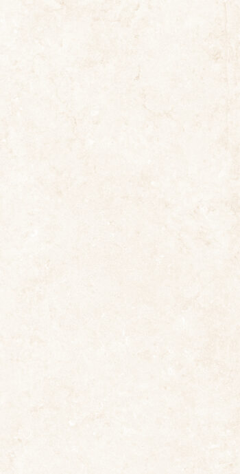 Panero Light | 600×1200 mm | Glossy Finish Tiles