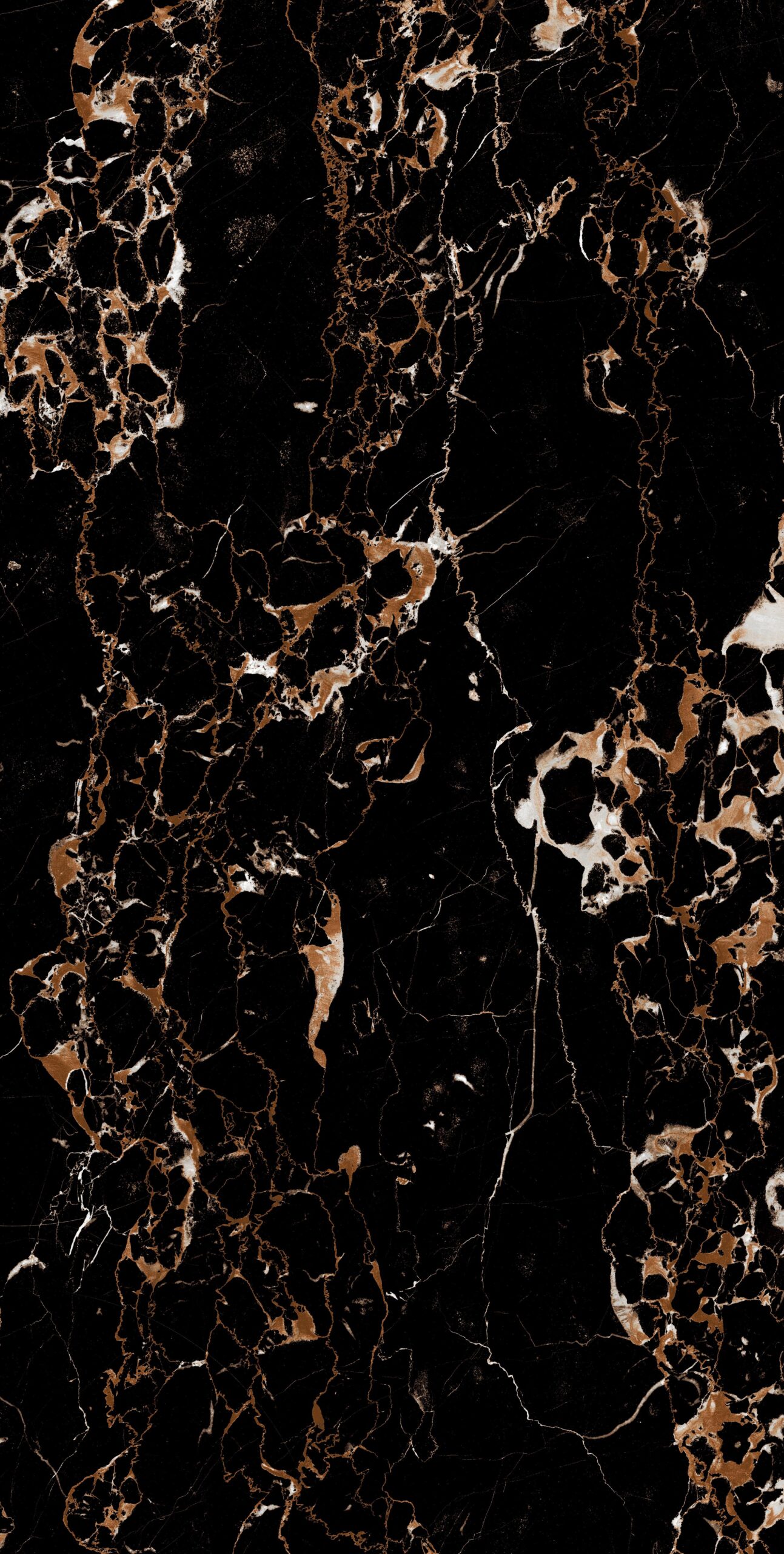 Portoro Black Portoro Black | 600x1200mm | Super High Glossy