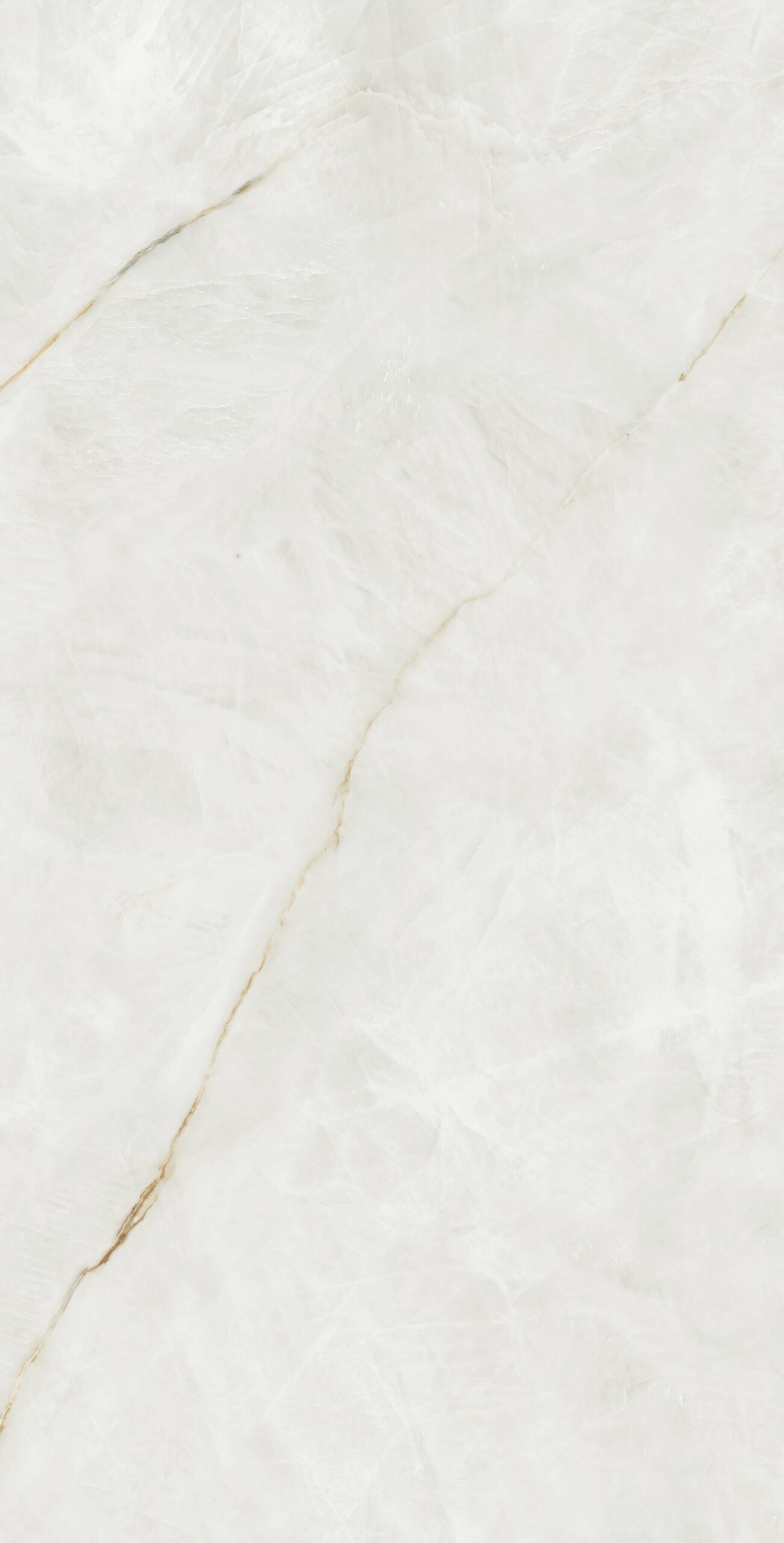 Qualis White Qualis White| 60x120 cm | Glossy Tiles