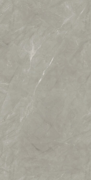 Reelin Armani Grey | 600×1200 mm | Glossy Finish Tiles