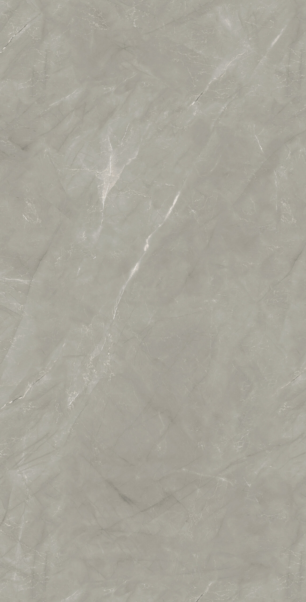 REELIN ARMANI GREY Reelin Armani Grey | 600×1200 mm | Glossy Finish Tiles
