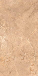Ripon Brown| 600×1200 mm | Glossy Finish Tiles