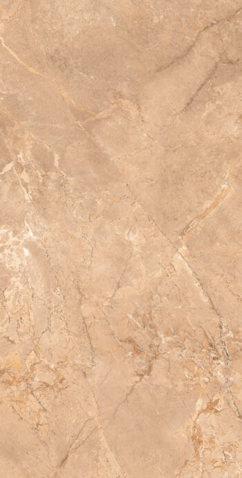 Ripon Brown| 600×1200 mm | Glossy Finish Tiles