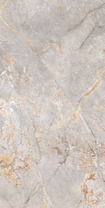 Ripon Grey | 600×1200 mm | Glossy Finish Tiles