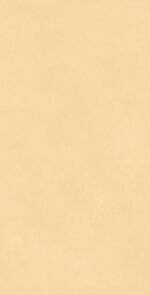 Sleck Mustard | 600x1200 mm | Pastel Color Tiles
