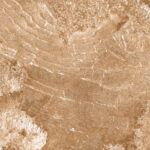 Sonvil Brown | 600×1200 mm | Glossy Finish Tiles