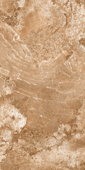 Sonvil Brown | 600×1200 mm | Glossy Finish Tiles