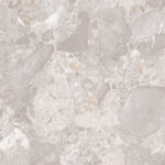 Stonzer Pearl | 600×1200 mm | Glossy Finish Tiles