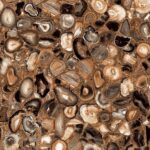 Semoi Brown | 600x1200mm | Super High Glossy