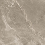 Victorious Brown | 600×1200 mm | Glossy Finish Tiles