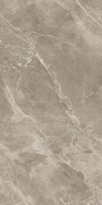 Victorious Brown | 600×1200 mm | Glossy Finish Tiles
