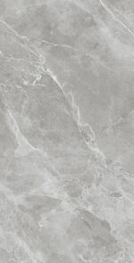 Victorious Grey | 600×1200 mm | Glossy Finish Tiles