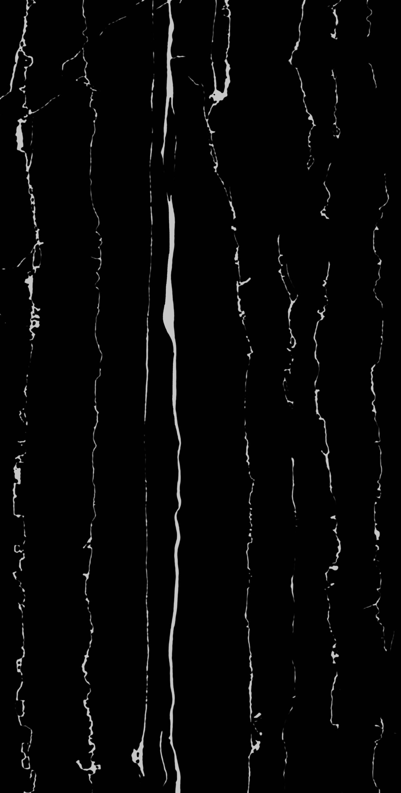 ZEBRA BLACK Zebra Black | 600x1200mm | Super High Glossy