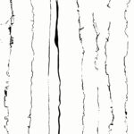 Zebra White | 600x1200mm | Super High Glossy