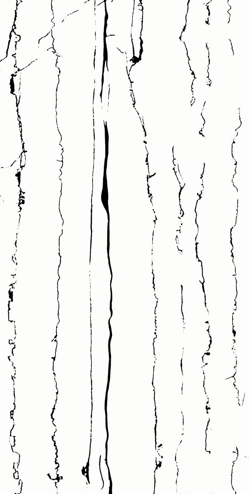 ZEBRA white Zebra White | 600x1200mm | Super High Glossy