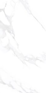 Staturio Eva | 4X2 ft | Statuario Tiles-Glossy