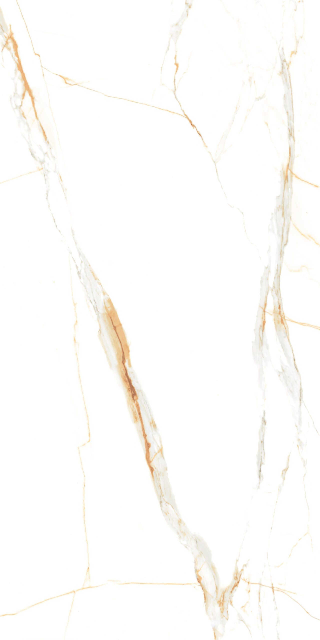 zeolite White Zeolite White | 4X2 ft | Statuario Tiles-Glossy